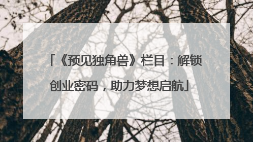 《预见独角兽》栏目：解锁创业密码，助力梦想启航