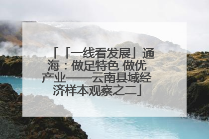 「一线看发展」通海：做足特色 做优产业——云南县域经济样本观察之二