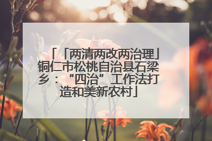 「两清两改两治理」铜仁市松桃自治县石梁乡：“四治”工作法打造和美新农村