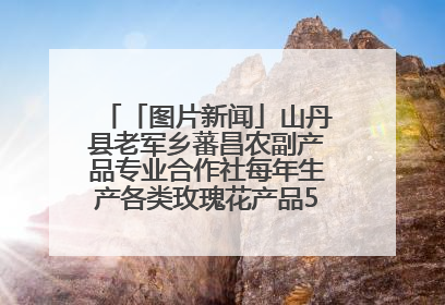「图片新闻」山丹县老军乡蕃昌农副产品专业合作社每年生产各类玫瑰花产品500多吨