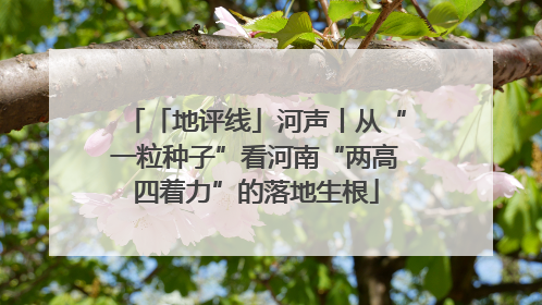 「地评线」河声丨从“一粒种子”看河南“两高四着力”的落地生根