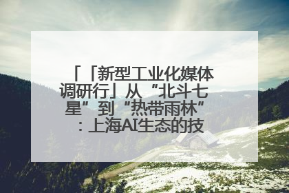 「新型工业化媒体调研行」从“北斗七星”到“热带雨林”：上海AI生态的技术商业共生密码