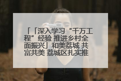 「深入学习“千万工程”经验 推进乡村全面振兴」和美荔城 共富共美 荔城区扎实推进乡村振兴工作