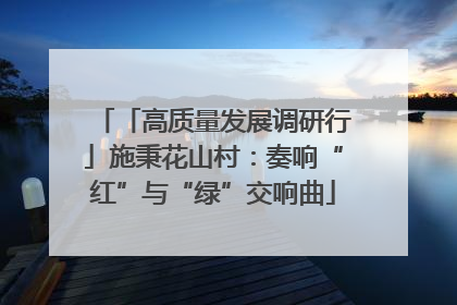 「高质量发展调研行」施秉花山村：奏响“红”与“绿”交响曲