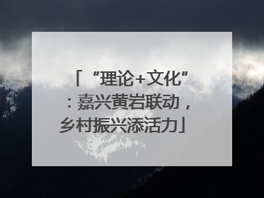 “理论+文化”：嘉兴黄岩联动，乡村振兴添活力