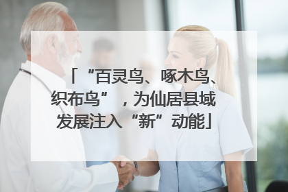 “百灵鸟、啄木鸟、织布鸟”，为仙居县域发展注入“新”动能
