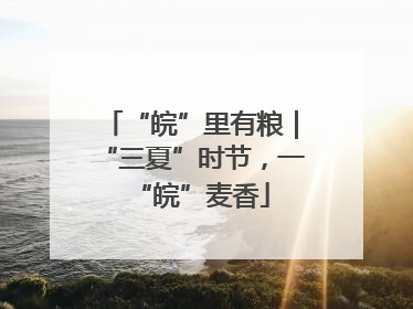 “皖”里有粮｜“三夏”时节，一“皖”麦香