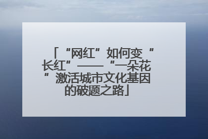 “网红”如何变“长红”——“一朵花”激活城市文化基因的破题之路