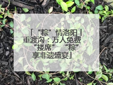 “粽”情洛阳丨重渡沟：万人免费“搂席” “粽”享非遗盛宴
