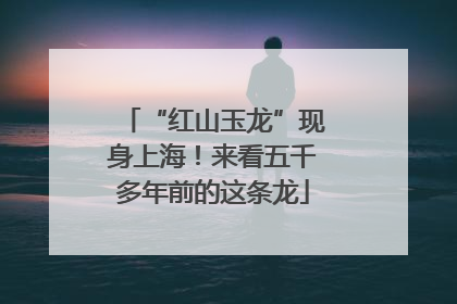 “红山玉龙”现身上海！来看五千多年前的这条龙