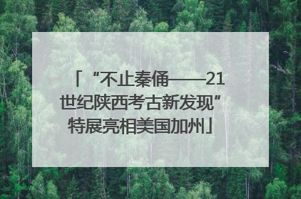 “不止秦俑——21世纪陕西考古新发现”特展亮相美国加州