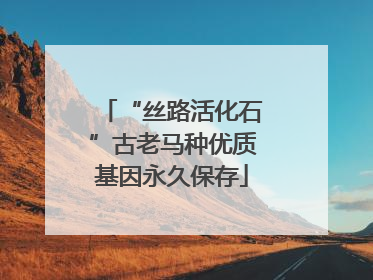 “丝路活化石”古老马种优质基因永久保存