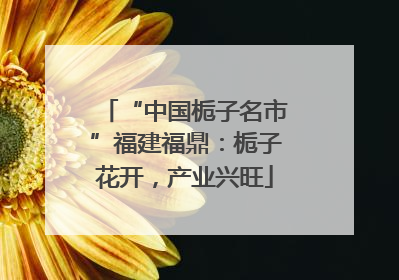 “中国栀子名市”福建福鼎：栀子花开，产业兴旺