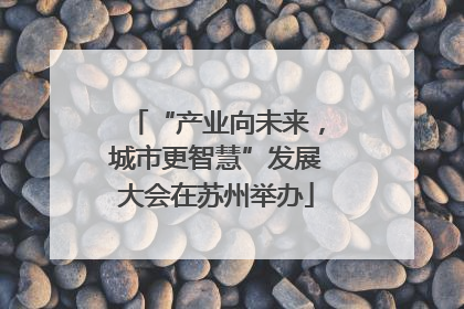 “产业向未来，城市更智慧”发展大会在苏州举办