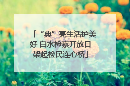 “典”亮生活护美好 白水检察开放日架起检民连心桥