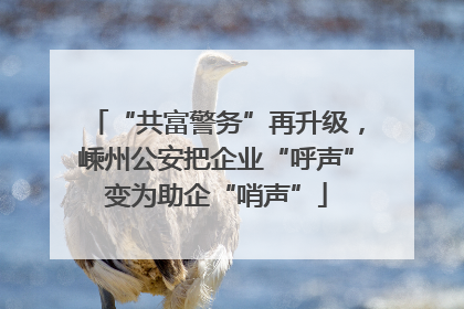 “共富警务”再升级，嵊州公安把企业“呼声”变为助企“哨声”