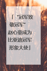 “冠军致敬冠军” 赵心童成为比亚迪冠军形象大使