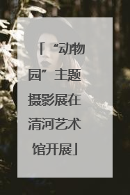 “动物园”主题摄影展在清河艺术馆开展