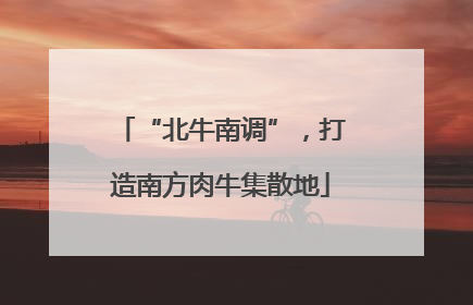 “北牛南调”，打造南方肉牛集散地