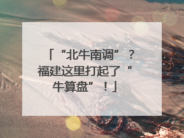 “北牛南调”？福建这里打起了“牛算盘”！