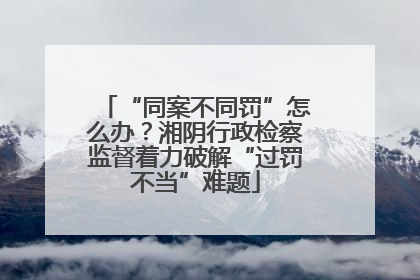 “同案不同罚”怎么办？湘阴行政检察监督着力破解“过罚不当”难题