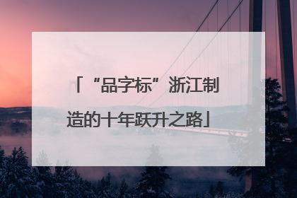 “品字标”浙江制造的十年跃升之路
