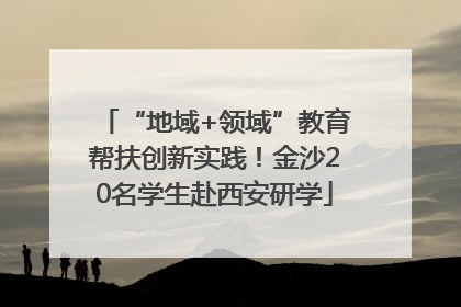 “地域+领域”教育帮扶创新实践！金沙20名学生赴西安研学