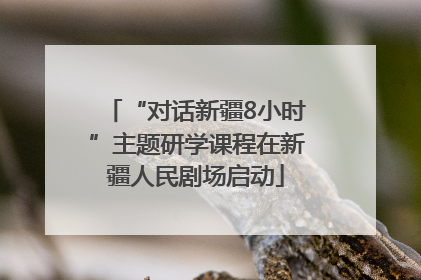 “对话新疆8小时”主题研学课程在新疆人民剧场启动