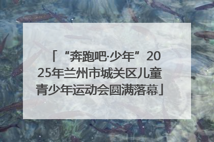 “奔跑吧·少年”2025年兰州市城关区儿童青少年运动会圆满落幕