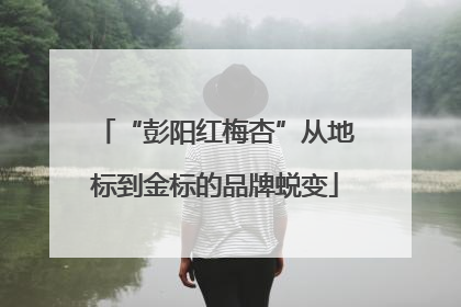 “彭阳红梅杏”从地标到金标的品牌蜕变