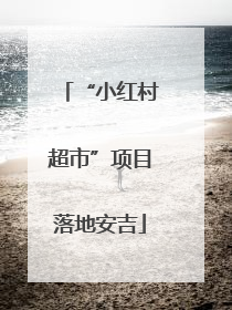 “小红村超市”项目落地安吉