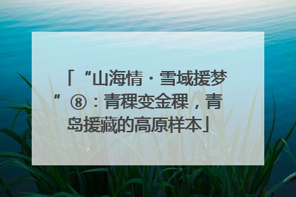 “山海情・雪域援梦”⑧：青稞变金稞，青岛援藏的高原样本
