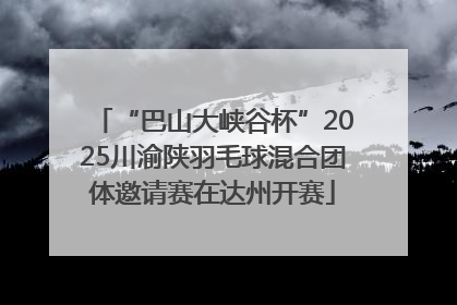 “巴山大峡谷杯”2025川渝陕羽毛球混合团体邀请赛在达州开赛