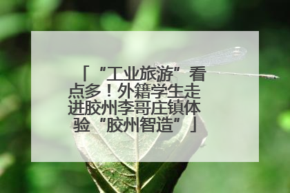 “工业旅游”看点多！外籍学生走进胶州李哥庄镇体验“胶州智造”