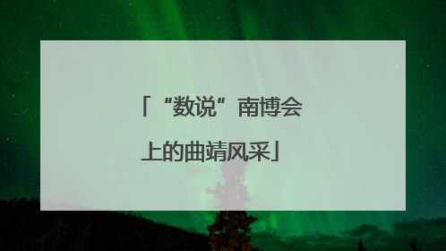 “数说”南博会上的曲靖风采