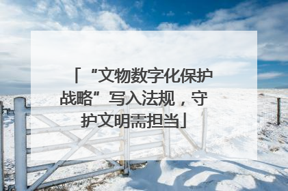 “文物数字化保护战略”写入法规，守护文明需担当