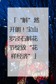 “斛”然开朗！宝山罗泾石斛花节绽放“花样经济”