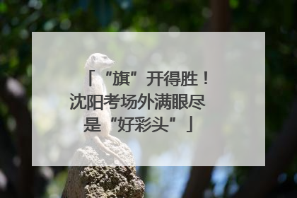“旗”开得胜！沈阳考场外满眼尽是“好彩头”