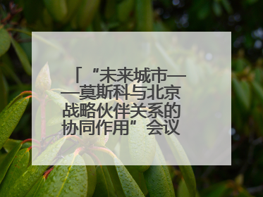 “未来城市——莫斯科与北京战略伙伴关系的协同作用”会议在北京举行