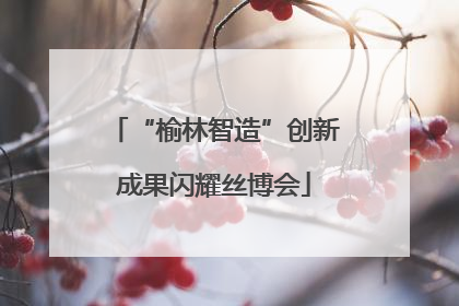 “榆林智造”创新成果闪耀丝博会