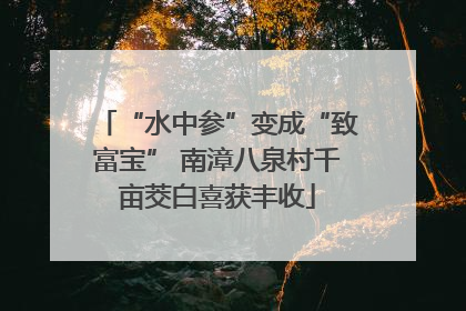 “水中参”变成“致富宝” 南漳八泉村千亩茭白喜获丰收