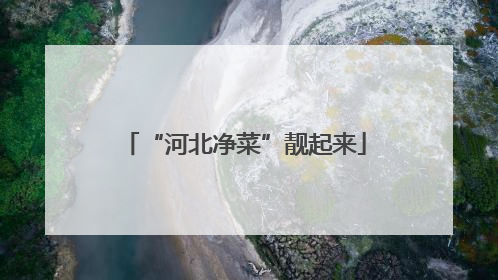 “河北净菜”靓起来