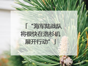 “海军陆战队将很快在洛杉矶展开行动”