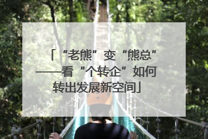 “老熊”变“熊总”——看“个转企”如何转出发展新空间