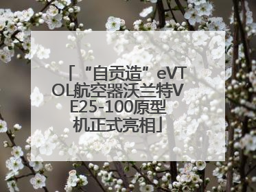 “自贡造”eVTOL航空器沃兰特VE25-100原型机正式亮相