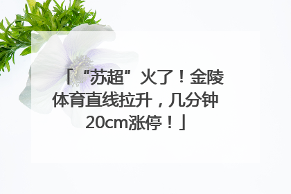 “苏超”火了！金陵体育直线拉升，几分钟20cm涨停！