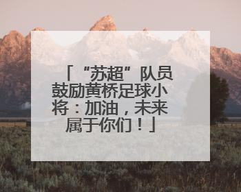 “苏超”队员鼓励黄桥足球小将：加油，未来属于你们！