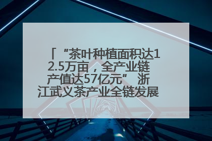 “茶叶种植面积达12.5万亩，全产业链产值达57亿元” 浙江武义茶产业全链发展“加速度”