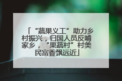 “蔬果义工”助力乡村振兴，归国人员反哺家乡，“果蔬村”村美民富香飘远近
