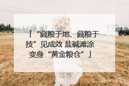 “藏粮于地、藏粮于技”见成效 盐碱滩涂变身“黄金粮仓”